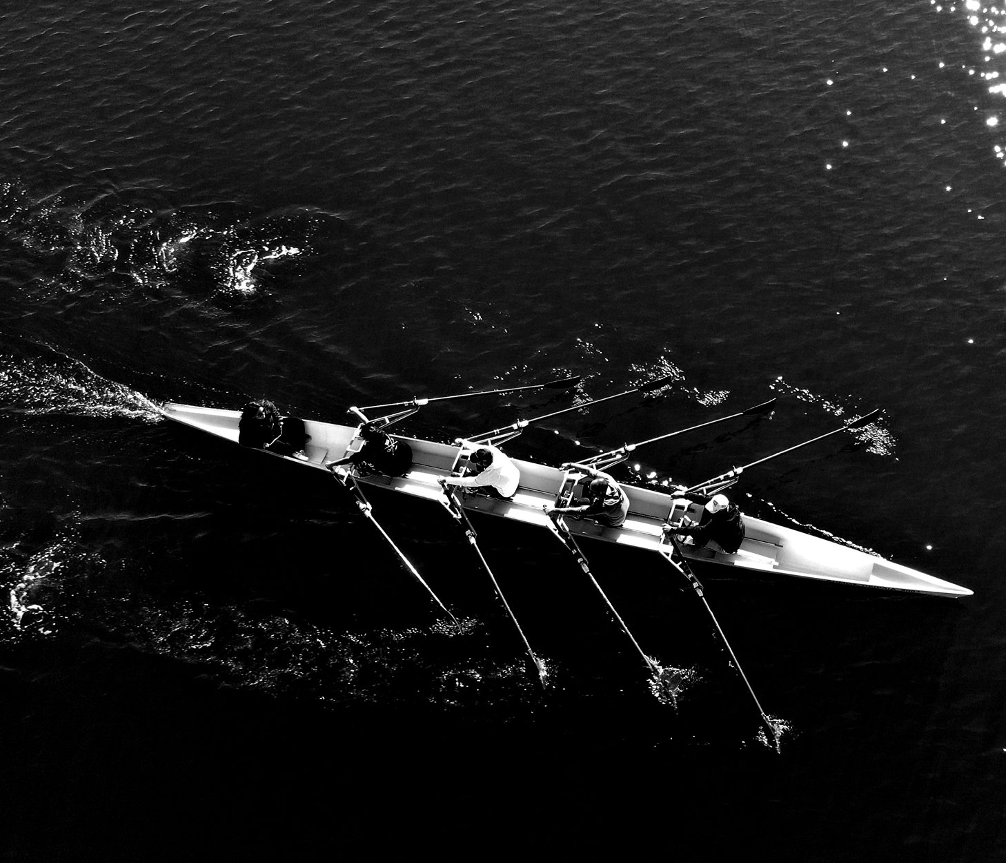 Rowers on the water 